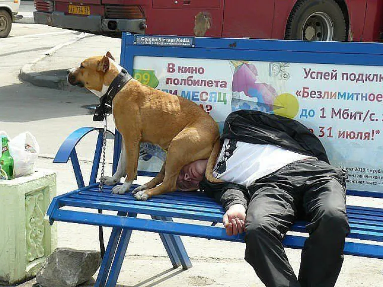 JASNO SE VIDI TKO JE GLAVNI KOD NJIH U VEZI: Neki jednostavno vole biti &scaron;efovi i tome nama pomoći