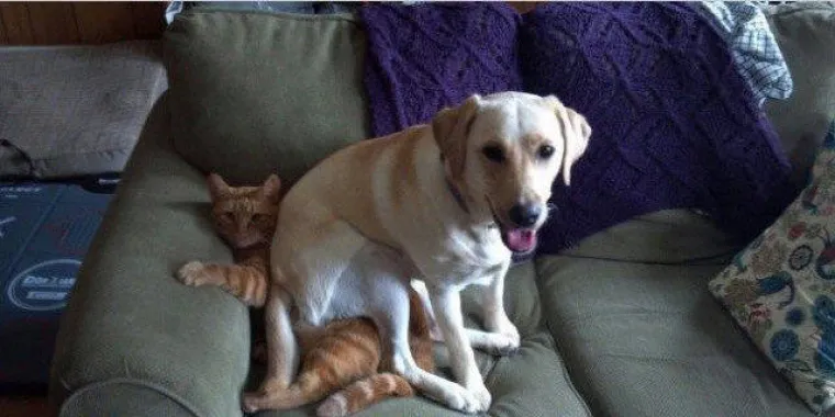 JASNO SE VIDI TKO JE GLAVNI KOD NJIH U VEZI: Neki jednostavno vole biti &scaron;efovi i tome nama pomoći