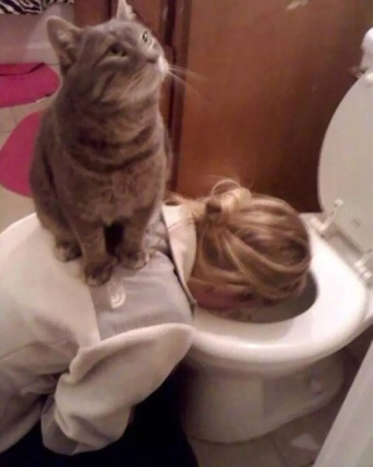 JASNO SE VIDI TKO JE GLAVNI KOD NJIH U VEZI: Neki jednostavno vole biti &scaron;efovi i tome nama pomoći