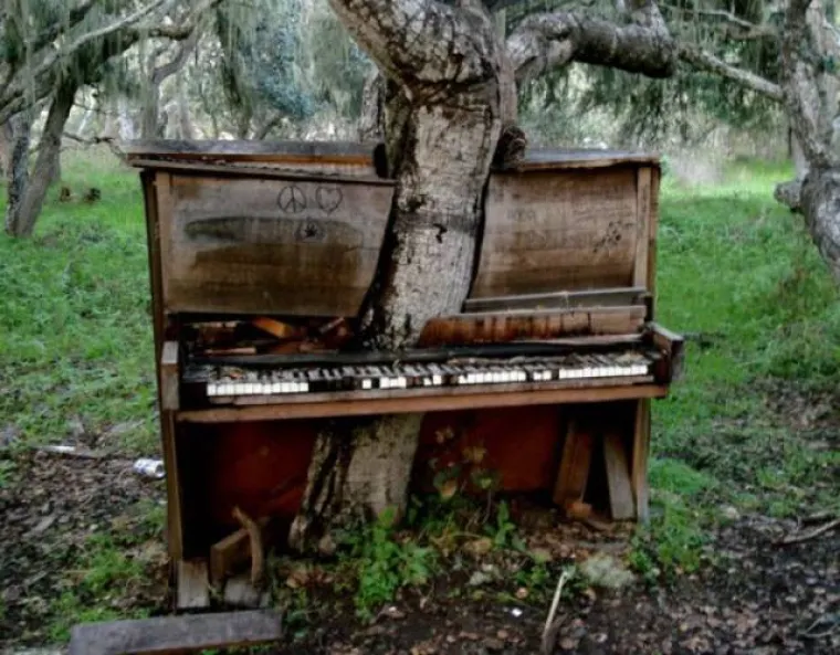 Dugo nakon &scaron;to ljudi nestanu sa Zemlje, na njoj će ostati drveće koje će zavladati planetom. Dokaz tome već se može pronaći svuda oko nas. U galeriji možete pogledati &scaron;to se dogodi kada drveće zavlada svojim okoli&scaron;em.