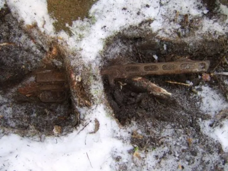 DUGO NAKON &Scaron;TO LJUDI IZUMRU, NA ZEMLJI ĆE OSTATI STABLA: Gutaju sve pred sobom, uopće ih nije briga za nas