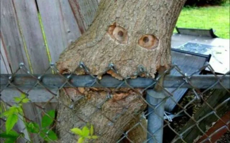 DUGO NAKON &Scaron;TO LJUDI IZUMRU, NA ZEMLJI ĆE OSTATI STABLA: Gutaju sve pred sobom, uopće ih nije briga za nas