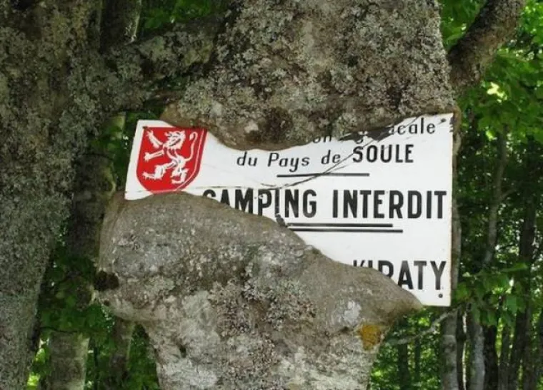 DUGO NAKON &Scaron;TO LJUDI IZUMRU, NA ZEMLJI ĆE OSTATI STABLA: Gutaju sve pred sobom, uopće ih nije briga za nas