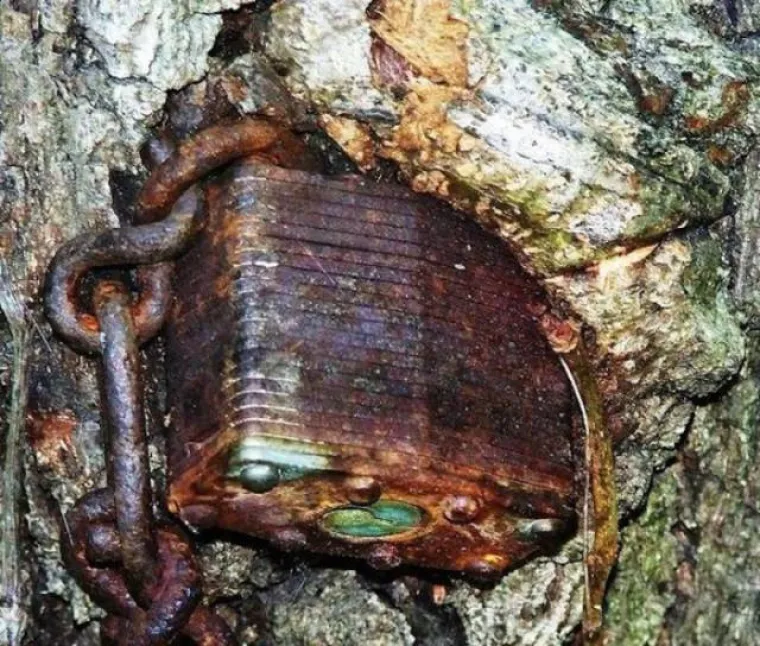 DUGO NAKON &Scaron;TO LJUDI IZUMRU, NA ZEMLJI ĆE OSTATI STABLA: Gutaju sve pred sobom, uopće ih nije briga za nas