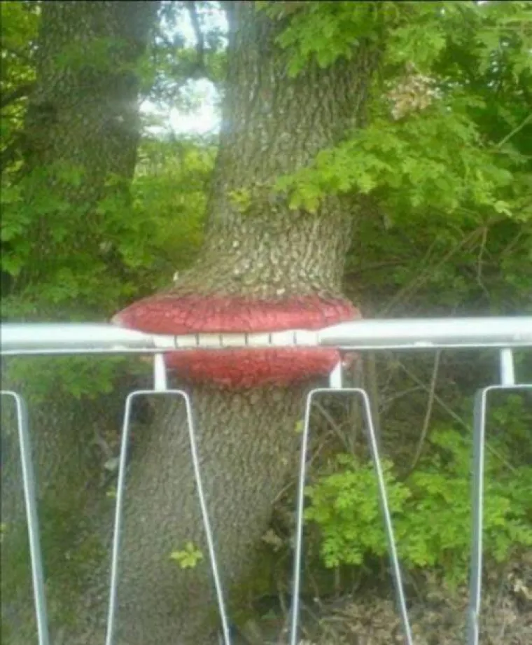 DUGO NAKON &Scaron;TO LJUDI IZUMRU, NA ZEMLJI ĆE OSTATI STABLA: Gutaju sve pred sobom, uopće ih nije briga za nas