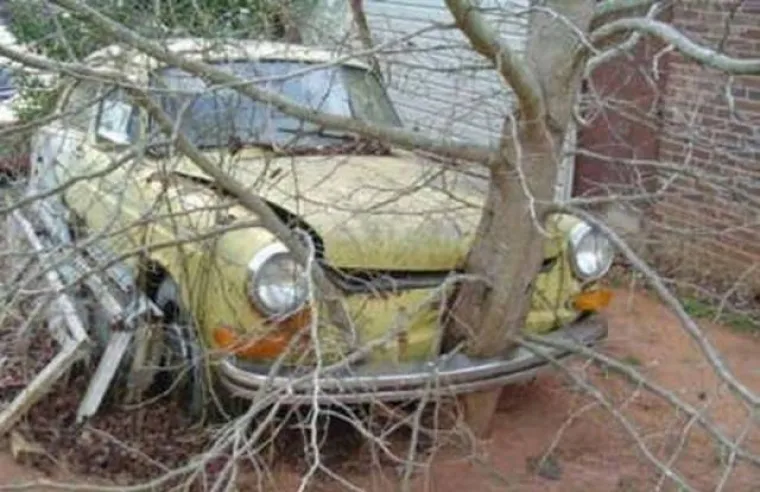 DUGO NAKON &Scaron;TO LJUDI IZUMRU, NA ZEMLJI ĆE OSTATI STABLA: Gutaju sve pred sobom, uopće ih nije briga za nas