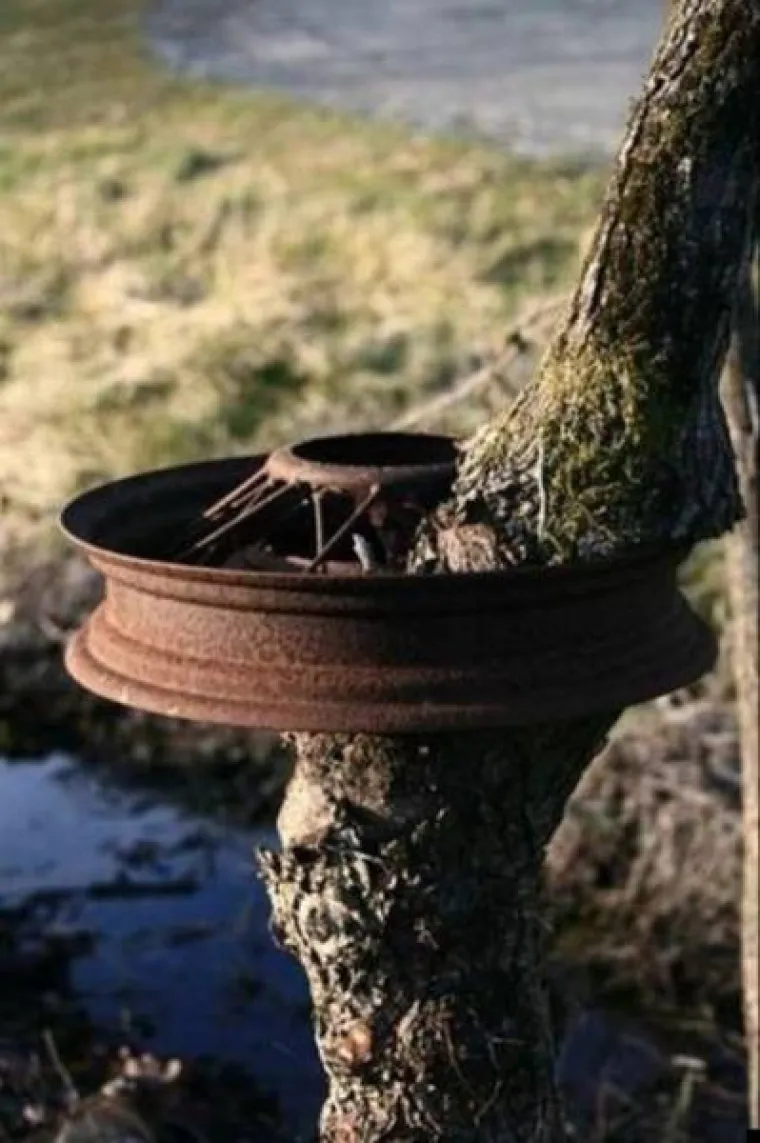 DUGO NAKON &Scaron;TO LJUDI IZUMRU, NA ZEMLJI ĆE OSTATI STABLA: Gutaju sve pred sobom, uopće ih nije briga za nas