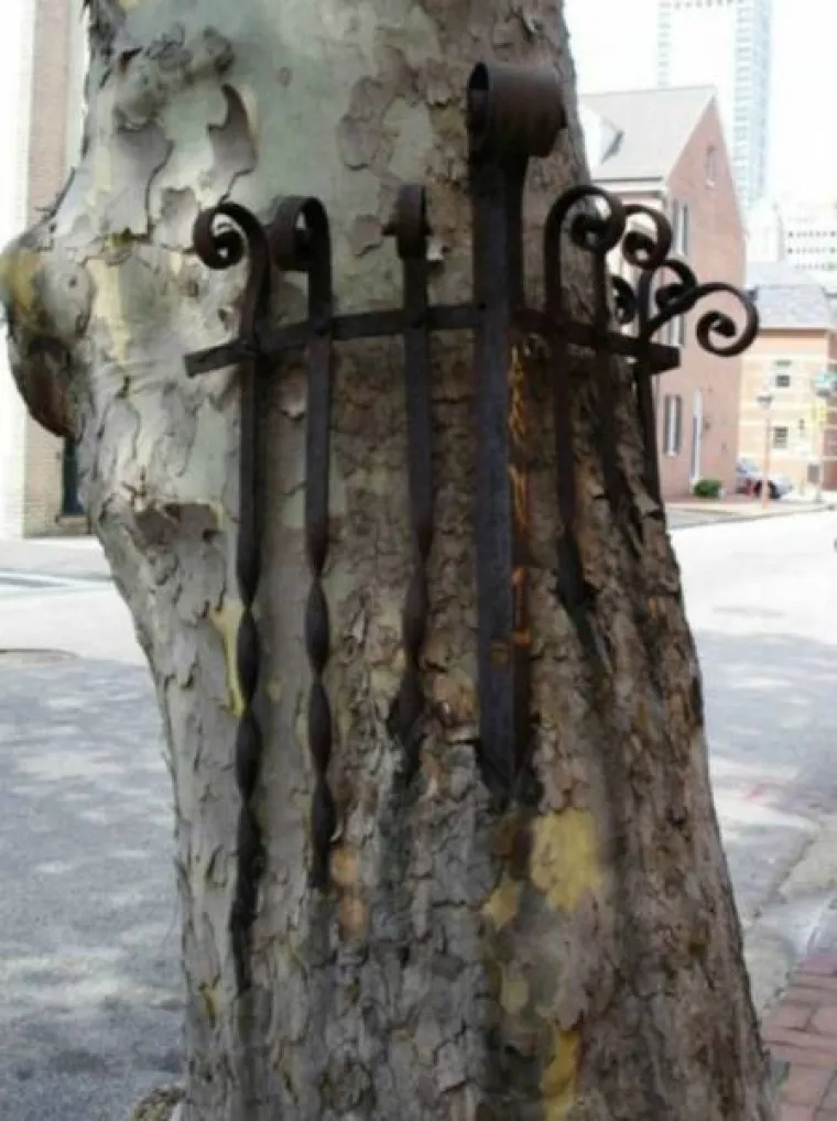 DUGO NAKON &Scaron;TO LJUDI IZUMRU, NA ZEMLJI ĆE OSTATI STABLA: Gutaju sve pred sobom, uopće ih nije briga za nas