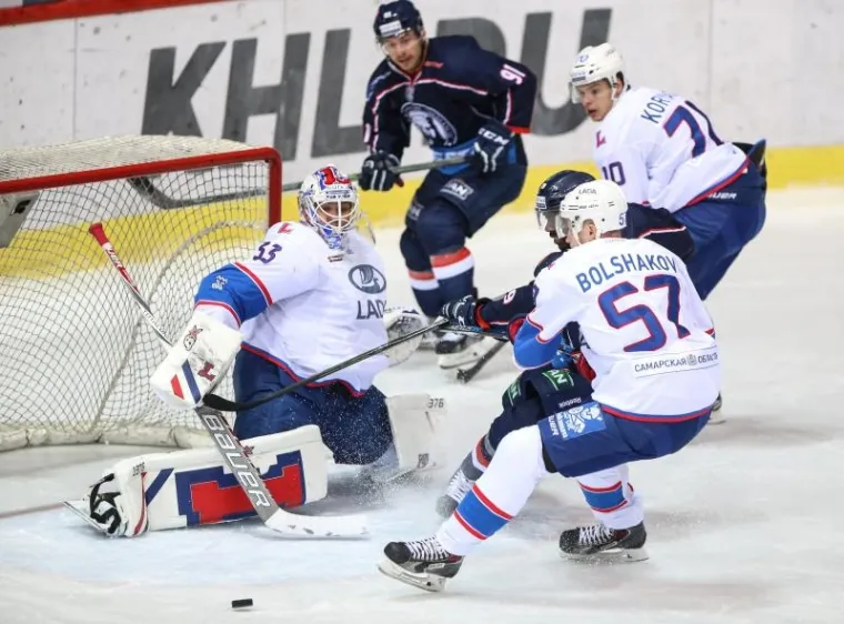 MEDVJEDI U POBJEDNIČKOM NIZU: Zagrebačka publika uživala je u predstavi svojih ljubimaca