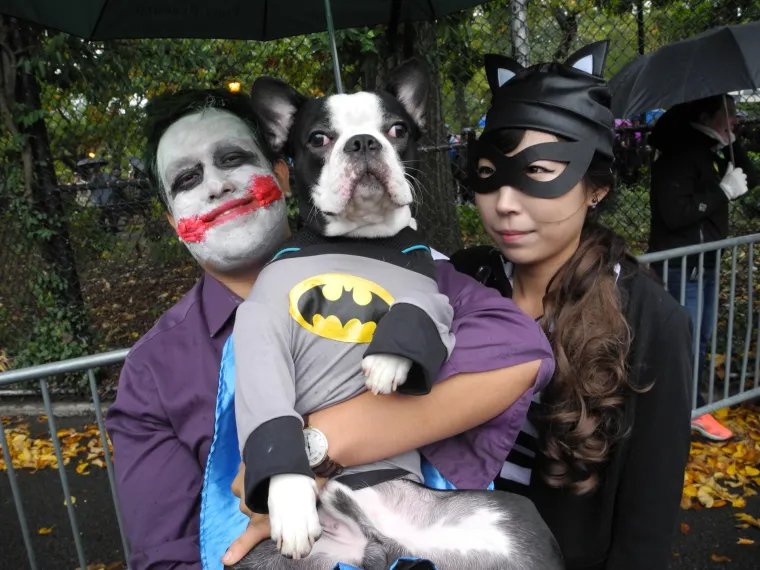 Batman, papa, lav, zatvorenik: ako za Halloween želite umaskirati i svoje psiće, evo vam nekoliko urnebesnih ideja