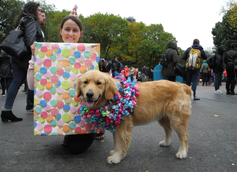 Batman, papa, lav, zatvorenik: ako za Halloween želite umaskirati i svoje psiće, evo vam nekoliko urnebesnih ideja