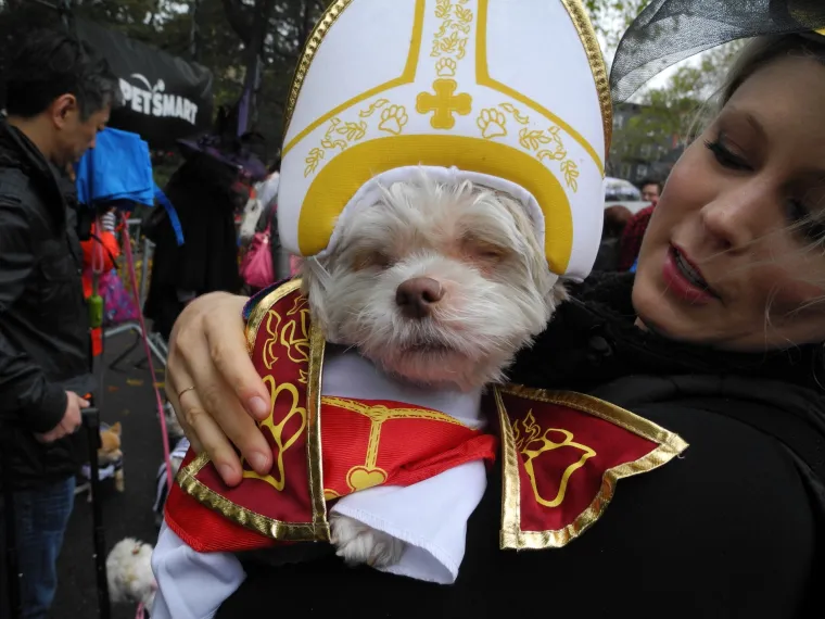 Batman, papa, lav, zatvorenik: ako za Halloween želite umaskirati i svoje psiće, evo vam nekoliko urnebesnih ideja