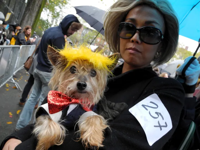 Batman, papa, lav, zatvorenik: ako za Halloween želite umaskirati i svoje psiće, evo vam nekoliko urnebesnih ideja