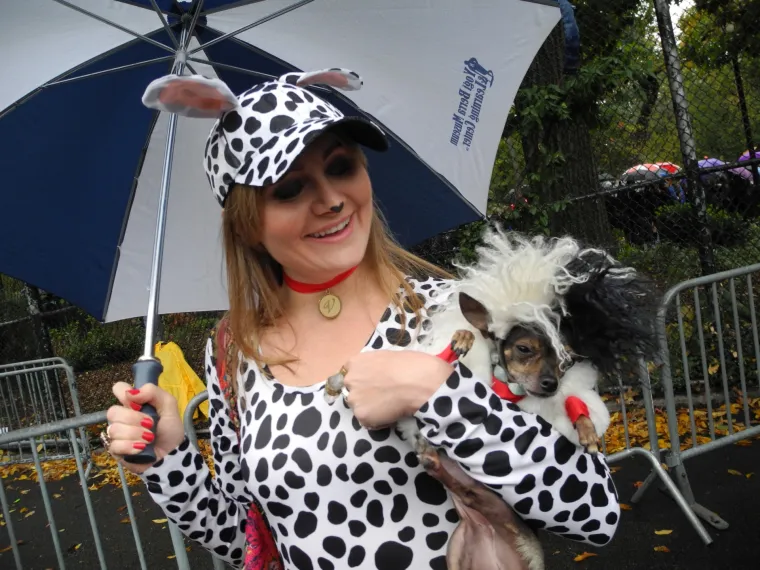 Batman, papa, lav, zatvorenik: ako za Halloween želite umaskirati i svoje psiće, evo vam nekoliko urnebesnih ideja