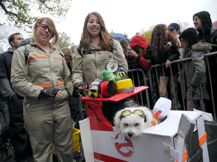 Batman, papa, lav, zatvorenik: ako za Halloween želite umaskirati i svoje psiće, evo vam nekoliko urnebesnih ideja