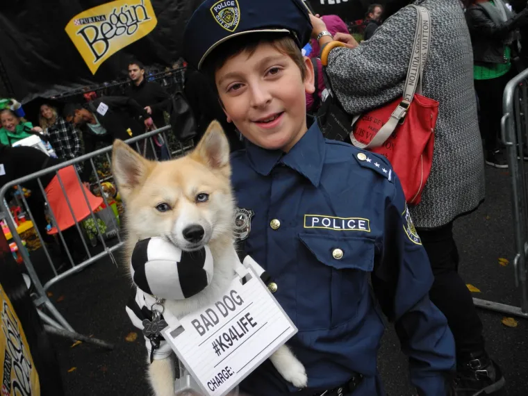 Batman, papa, lav, zatvorenik: ako za Halloween želite umaskirati i svoje psiće, evo vam nekoliko urnebesnih ideja