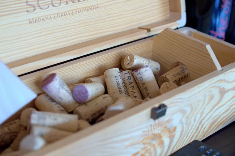 Prava ruta: uživanje u istarskoj vinariji