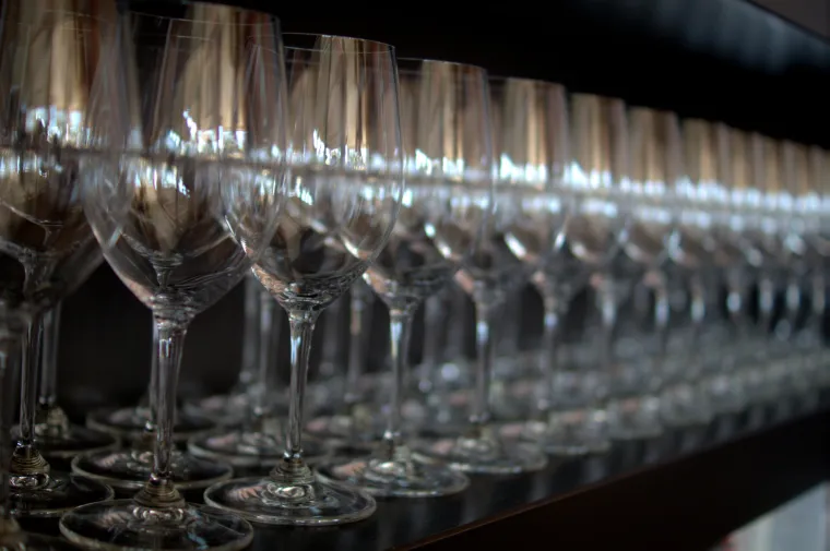 Prava ruta: uživanje u istarskoj vinariji