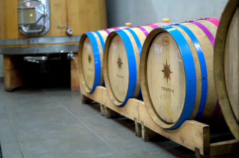 Prava ruta: uživanje u istarskoj vinariji