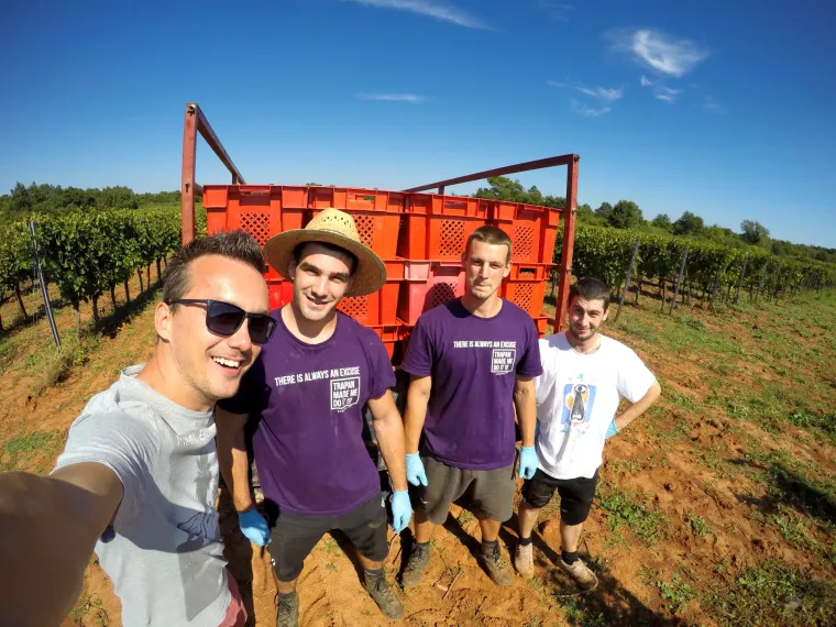 Prava ruta: uživanje u istarskoj vinariji