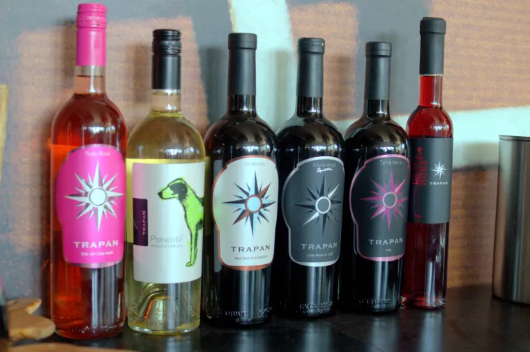 Prava ruta: uživanje u istarskoj vinariji