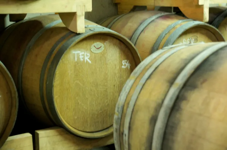 Prava ruta: uživanje u istarskoj vinariji