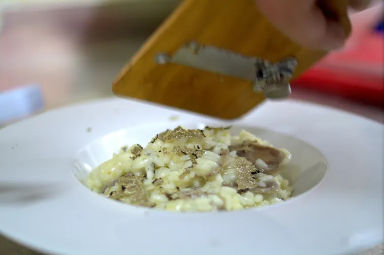 Prava ruta: istarska gastronomija