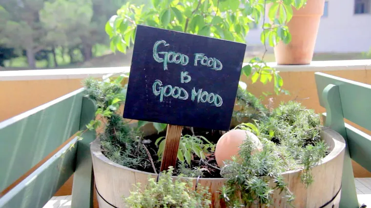 Prava ruta: San Servolo