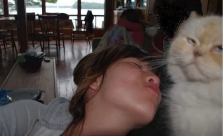 URNEBESNO: Sigurni smo da nisu sve mačke, &scaron;u..i, ali ove 33 jesu