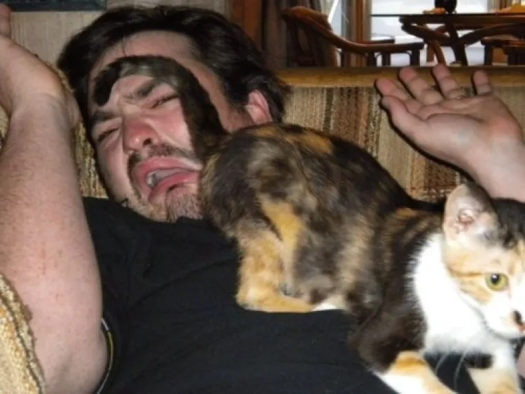 URNEBESNO: Sigurni smo da nisu sve mačke, &scaron;u..i, ali ove 33 jesu