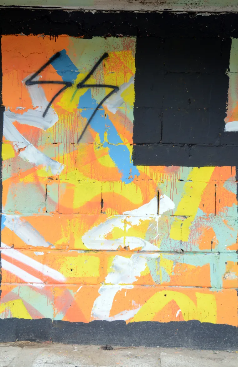 Sisak: Vandali neprimjerenim natpisima uni&scaron;tili mural nastao na festivalu Re:think