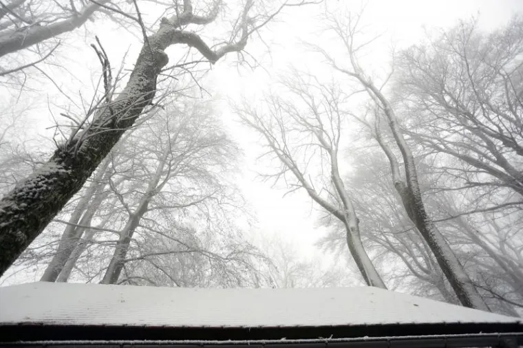 Snijeg od ranog jutra pada na Sljemenu, a vrh Medvednice zabijelio je snježni pokrivač.