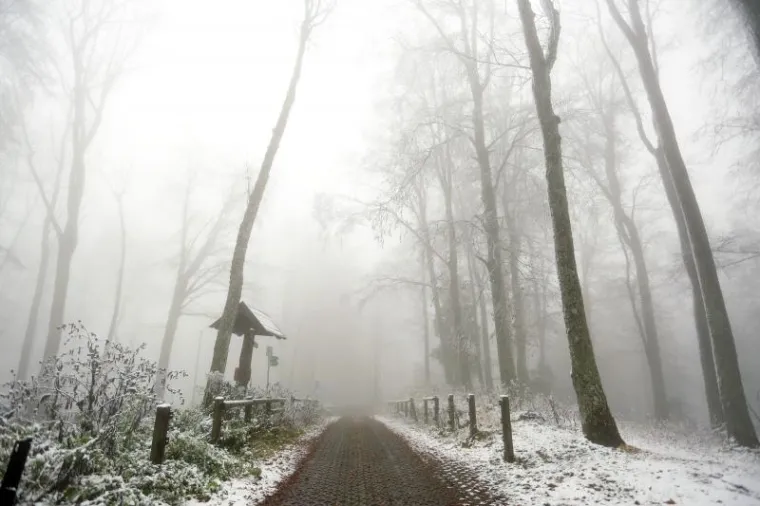 Snijeg od ranog jutra pada na Sljemenu, a vrh Medvednice zabijelio je snježni pokrivač.
