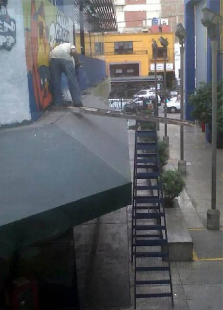 SVIJET JE PUN... BISERA: Pravo čudo da je ljudska vrsta opstala tako dugo pored njih