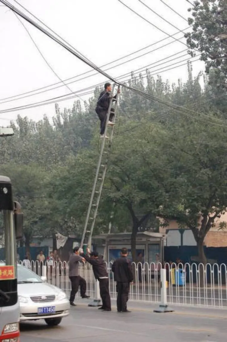 SVIJET JE PUN... BISERA: Pravo čudo da je ljudska vrsta opstala tako dugo pored njih