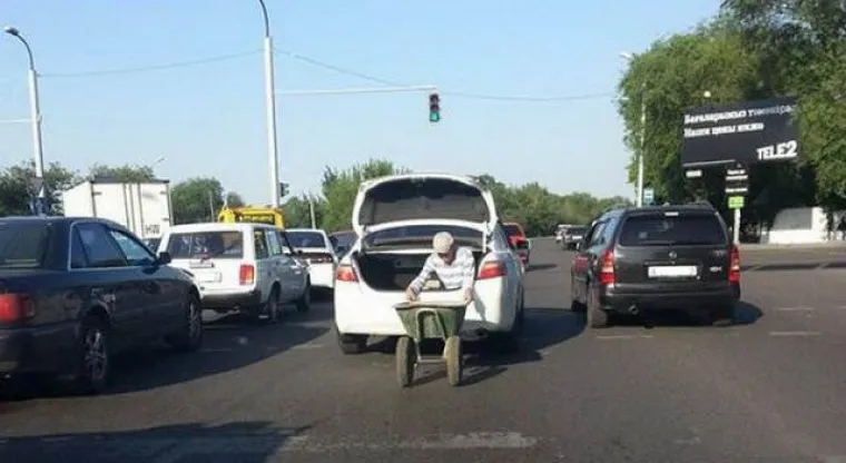 SVIJET JE PUN... BISERA: Pravo čudo da je ljudska vrsta opstala tako dugo pored njih