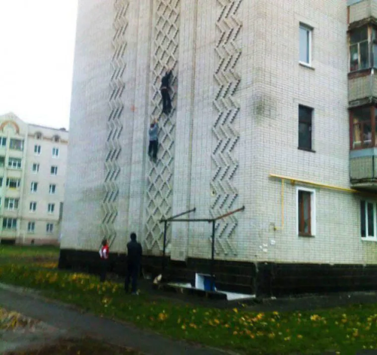 SVIJET JE PUN... BISERA: Pravo čudo da je ljudska vrsta opstala tako dugo pored njih