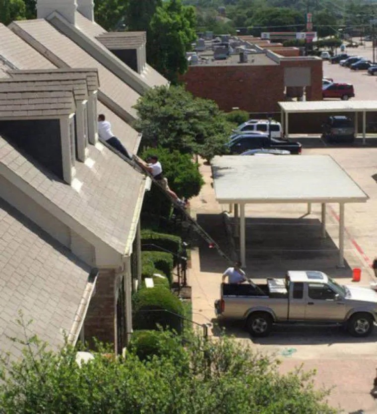 SVIJET JE PUN... BISERA: Pravo čudo da je ljudska vrsta opstala tako dugo pored njih