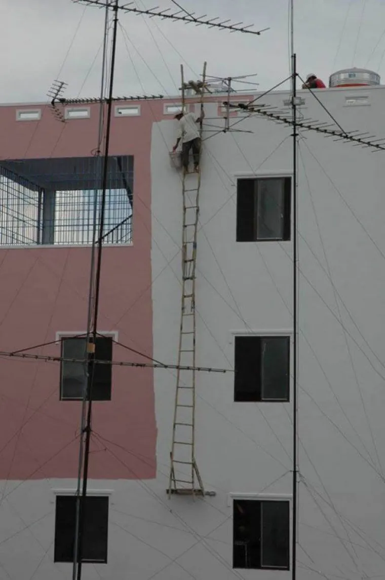 SVIJET JE PUN... BISERA: Pravo čudo da je ljudska vrsta opstala tako dugo pored njih