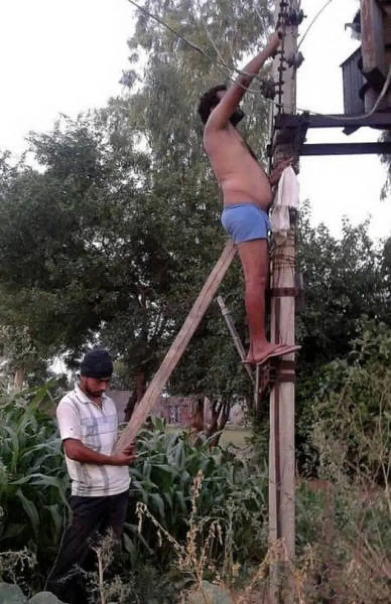 SVIJET JE PUN... BISERA: Pravo čudo da je ljudska vrsta opstala tako dugo pored njih