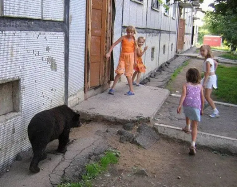 ONO ČEGA SE PAMETAN SRAMI... Pogledajte kakve slike Rusi ponosno objavljuju na dru&scaron;tvenim mrežama
