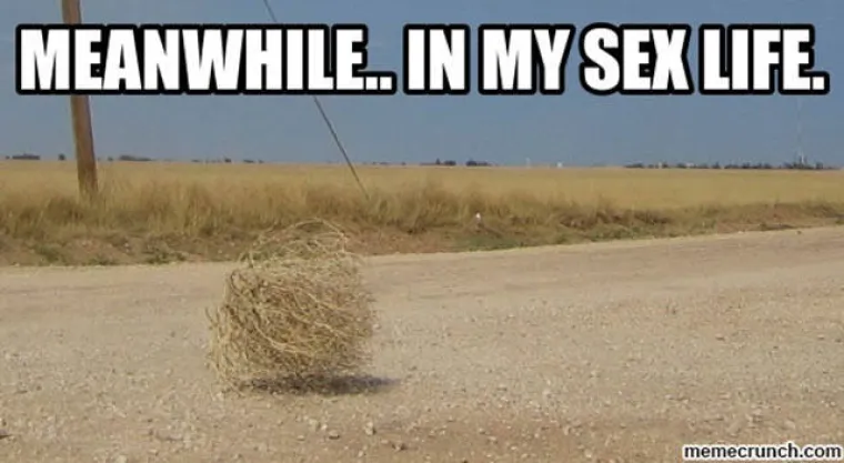 &Scaron;TO SE TO, KVRAGU, DOGAĐA KOD NJIH?! Možda su Ameri izabrali klauna, ali postoje i bizarnije stvari na svijetu