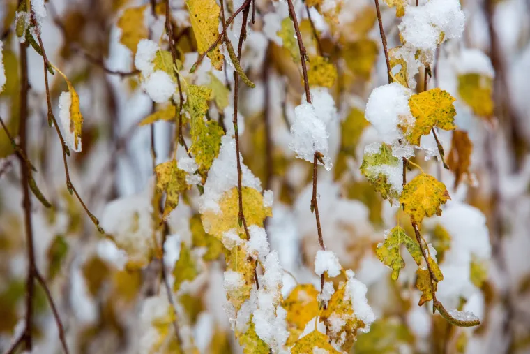 Snježni pokrivač zabijelio Gorski Kotar