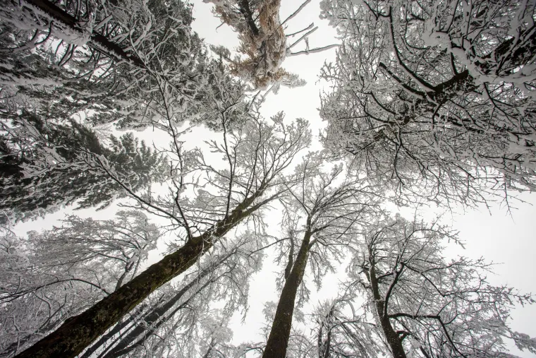 Snježni pokrivač zabijelio Gorski Kotar