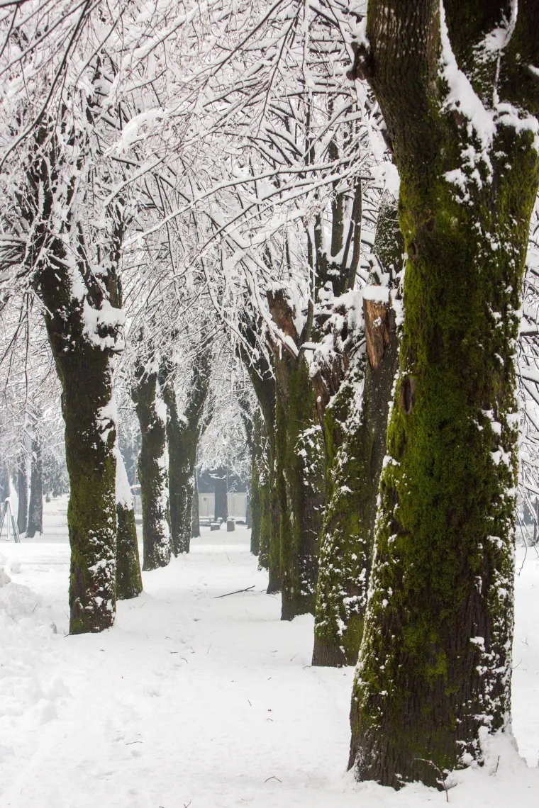 Snježni pokrivač zabijelio Gorski Kotar