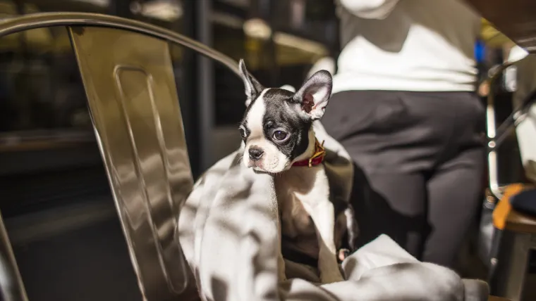 Proveli smo dan s Lucijom Lugomer, najpoznatijim hrvatskim plus size modelom