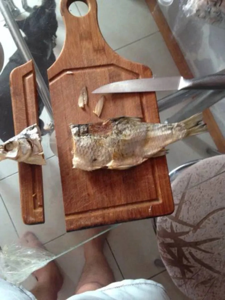 HOROR U KUHINJI: Neki su stvarno rođeni s dvije lijeve, kako je uopće moguć ovakav kaos?!