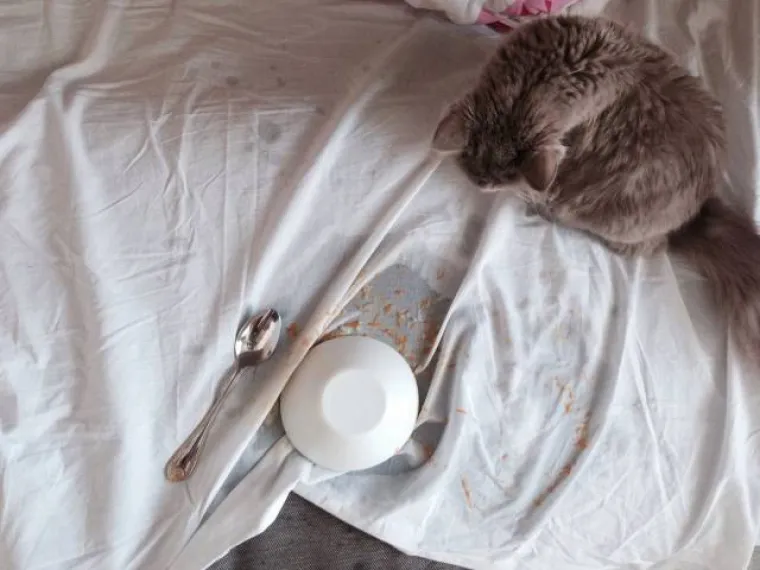 HOROR U KUHINJI: Neki su stvarno rođeni s dvije lijeve, kako je uopće moguć ovakav kaos?!