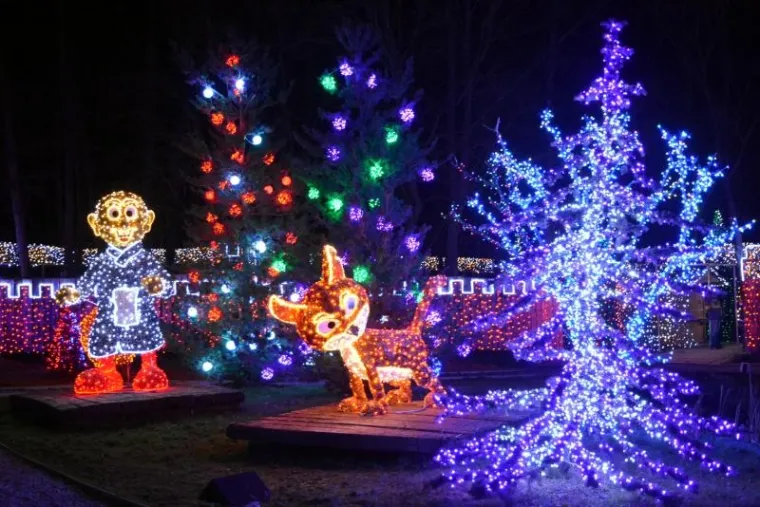 PONOVNO ODU&Scaron;EVILI: Milijuni lampica osvjetlili imanje obitelji Salaj, pogledajte čaroliju!
