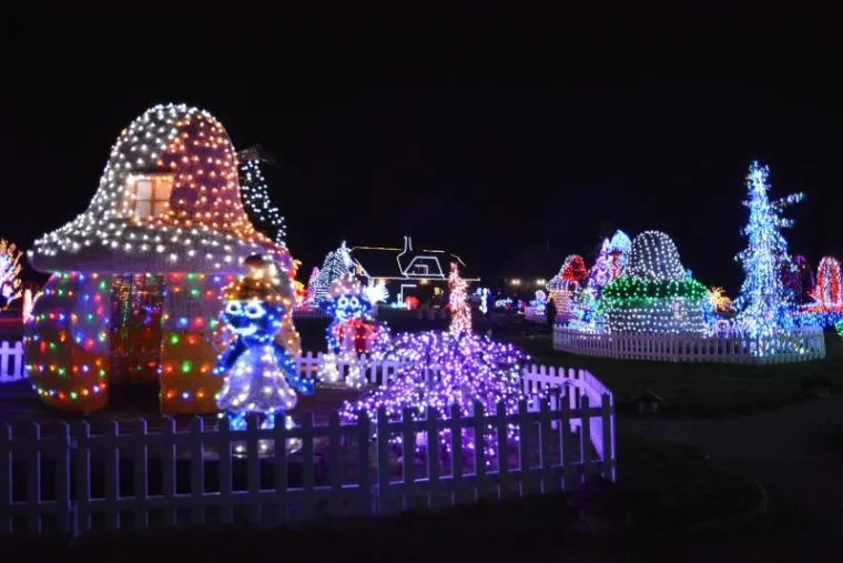 PONOVNO ODU&Scaron;EVILI: Milijuni lampica osvjetlili imanje obitelji Salaj, pogledajte čaroliju!